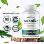 Pure Berberine Supplement - 1300mg Berberine with Ceylon Cinnamon for Metabolism & Immune System Support - 60 Servings