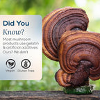 Serenity Reishi Mushroom Gummies for Adults - 500mg Whole Fruiting Body Extract - Sleep Gummies for Adults and Kids - Vegan, Gluten-Free - Stress Relief, Relaxation - Elderberry Kiss, 60 Count