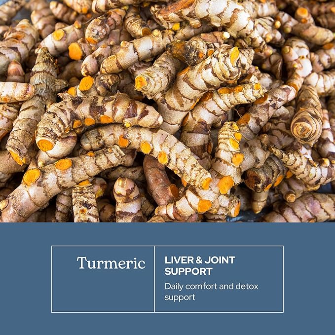 Eclectic Herb - Organic Turmeric Capsules | Musculoskeletal System & Joint Health Support | Herbal Supplement | Vegan, Non-GMO, Gluten Free, Freeze-Dried (90 CT | 395 mg)