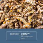 Eclectic Herb - Organic Turmeric Capsules | Musculoskeletal System & Joint Health Support | Herbal Supplement | Vegan, Non-GMO, Gluten Free, Freeze-Dried (90 CT | 395 mg)
