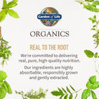 Garden of Life Organics Men's Gummy Vitamins - Berry - Certified Organic, Non-GMO, Vegan, Kosher Complete Multi - Methyl B12, C & D3 - Gluten, Soy & Dairy Free, 120 Real Fruit Chew Gummies