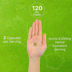 Organic 10-in-1 Mushroom Supplement, 240 Capsules – Lions Mane, Turkey Tail, Reishi, Cordyceps & More Mushroom Complex – Immune, Energy & Nootropic Brain Support – Non-GMO