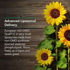 Allergy Research Group Nutricology Micro Liposomal C 1000mg Supplement - Liquid Vitamin C, Sunflower Phospholipids, Sodium Ascorbate, Organic, Bioavailable - 4 Fl Oz