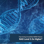 Naturalis Liposomal NMNH 300mg (NMN Alternative) | Boost NAD+ Levels & Support Healthy Aging* | Bioenhanced with Vitamin E for Advanced Absorption, Stability & Antioxidant Protection* | 120 Softgels