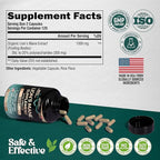 Lions Mane Supplement Capsules - Organic Lions Mane - Made in USA - Fruiting Bodies Extract - 1200 mg, 25% Polysaccharides - Memory & Focus Support - As Lions Powder - 240 Capsules, 4 Month Supply