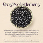 Nature’s Way Sambucus Traditional Elderberry Syrup for Traditional Immune Support* with Highly Concentrated Black Elderberry Extract & Superfood Antioxidants, Adults & Kids 7+, Berry Flavored, 4 Fl Oz