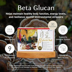 Umeken Beta Glucan, Immune Boost, Mushroom Extract, Dietary Supplement, Blend of 9 Premium Mushroom Extract Packets, Easy to Take Beta Glucan Supplements, 1 Month Supply, 30 Count Box, Pack of 1