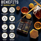 NutroTonic® Organic SHILAJIT Gummies | Apple Cinnamon Flavor | Shilajit for Men & Women | No Added Sugar, Sweetened by Manuka Honey | Clean Formula | Natual Source of Urolithin | 30 Gummies