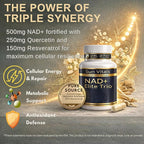 Natural NAD+ Supplement 500 mg with Resveratrol & Quercetin | Cellular Energy & Healthy Aging Support for Women | Non-Stimulant | GMP-Certified | 3rd Party Tested | 60 Vegan Capsules | Made in USA