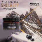 NutroTonic Organic Shilajit Gummies | Sweetened with Organic Manuka Honey |Shilajit for Men & Women | No Added Sugar | Clean Formula | 30 Gummies (2 Jars)