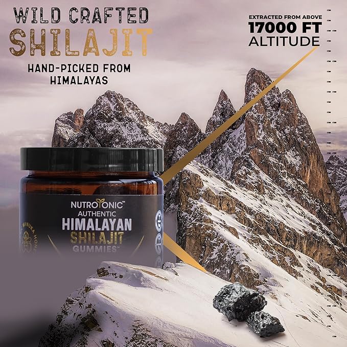 NutroTonic Organic Shilajit Gummies | Sweetened with Organic Manuka Honey |Shilajit for Men & Women | No Added Sugar | Clean Formula | 30 Gummies (2 Jars)
