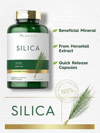 Carlyle Silica Supplement Capsules | 200 Count | from Horsetail Extract | Non-GMO & Gluten Free