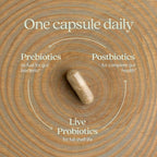 New Chapter All-Flora Probiotic for Advanced Digestion & Complete Gut Health with Prebiotics + Postbiotics, Clinical-Strength Strains, 100% Vegetarian, Non-GMO, Shelf Stable - 60 ct (2 Month Supply)