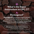 Isotonix OPC-3 Antioxidant Chews | Circulation, Vision & Skin Support | Grape Seed, Red Wine, Pine Bark (Pycnogenol®), Bilberry & Citrus Bioflavonoids | Chewable Antioxidant Supplement - 30 Count