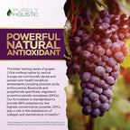 Purely Holistic Grape Seed Extract - 250 Vegan Capsules - 8+ Month Supply - Standardized to 95% Polyphenols - Maximum Strength Grapeseed - Non-GMO & Pesticide Free