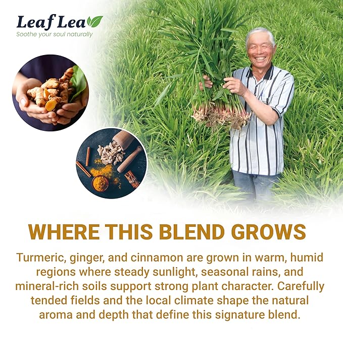 LeafLea Turmeric Ginger Cinnamon Tea, 120 Individually Wrapped Tea Bags, 100% Natural Herbal Blend with Pure Ginger and Turmeric, Supports Digestion & Immune Health, Caffeine-Free, No Sugar