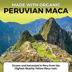 Viva Naturals Peruvian Maca Root Supplement for Women & Men, 500mg - Traditionally Used for Energy, Stamina & Endurance - 250 Yellow Maca Root Powder Capsules, Gelatinized for Easier Digestion