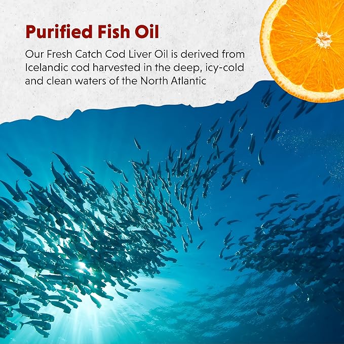 Barlean's Omega 3 Fish Oil Liquid Supplement, 1262mg EPA and DHA Fatty Acids, Non-GMO and Gluten Free, Orange Flavor, 8 oz