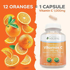 Purely Holistic Grape Seed Extract 400mg + Vitamin C 1000mg Time Release Bundle - 615 Vegan Capsules - Made in USA