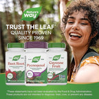 Nature's Way Pycnogenol Premium Blend, Promotes Healthy Circulation*, Antioxidant Support*, 50 mg per Serving, 30 Vegan Tablets (Packaging May Vary)