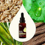 Plant Therapy Organic Brain Power Tincture 30 mL (1 oz) Supports Brain Focus & Clarity, Helps Mental Alertness & Memory, Brain Boost Supplement Packed with Benefits
