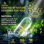 Organic Lions Mane Supplement Capsules - 120 Real Mushrooms Lion's Mane Capsules with Ginkgo Biloba Herb, Bacopa Monnieri, L Theanine, L Tyrosine - Mushroom Complex for Daily Wellness