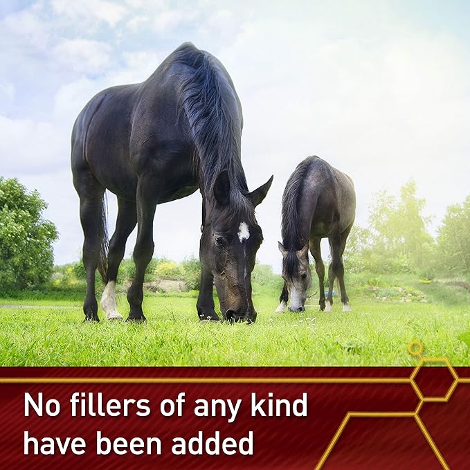 Vita Flex Pro Pure C Premium Quality Horse Vitamin C, 2 Pounds, 128-Day Supply