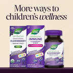 Nature's Way Sambucus Kids Immune Elderberry Syrup, Black Elderberry Extract with Echinacea & Propolis, Traditional Immune Support for Children with Superfood Antioxidants(1), Berry Flavored, 8 Fl Oz