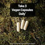 NatureWise Mushroom Complex - with Organic Lion's Mane + Reishi & Cordyceps Sinensis - Lions Mane Supplement with Organic Mushrooms - Vegan - Non-GMO - USA Manufactured - 90 Capsules[30-Day Supply]