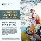 Purely Holistic Pine Bark Extract 350mg 180 Vegan Capsules 95% Proanthocyanidins - French Maritime Pine Bark Extract - Non GMO & Pesticide Free Antioxidant Supplement