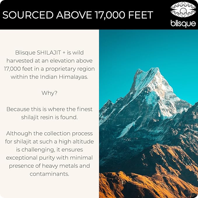 Blisque – Pure Himalayan Organic Shilajit Resin Supplement | Authentic and Natural | Golden Grade A | Contains Fulvic Acid and Trace Minerals | 60 Grams