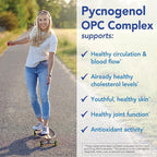 Patient One Pycnogenol OPC Complex 300mg | Supplement to Support Vascular Health and Healthy Aging* | French Maritime Pine Bark and More | 60 Capsules