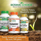 Botanic Choice Premium Turmeric Antioxidant Support - Joint Health Supplement for Adults - 180 Vege Capsules (500 mg each)
