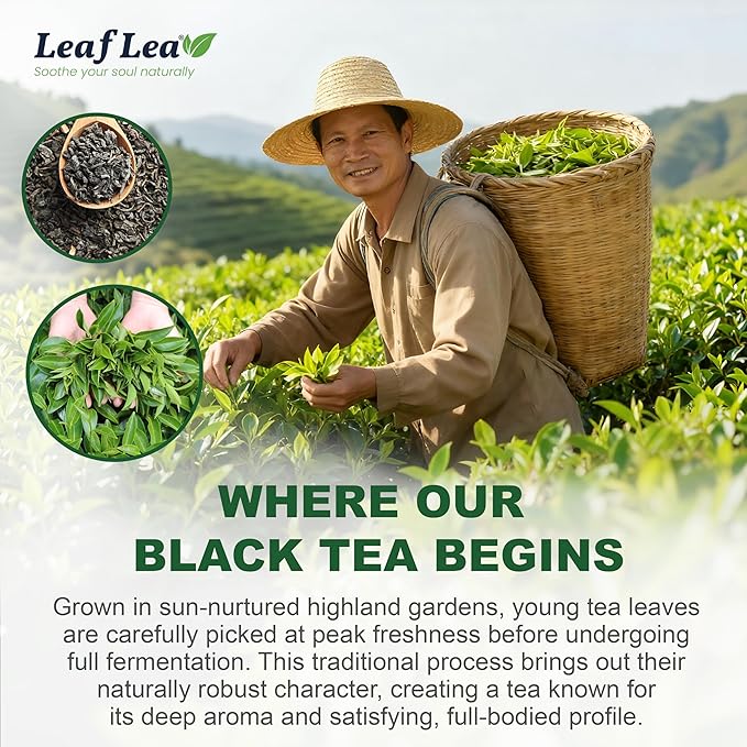 LeafLea 80 Black Tea Bags, Premium Black Tea Leaves, Rich Bright and Firmly Astringent, Promotes Digestive Comfort & Steady Alertness, Caffeinated, Sugar-Free, Vegan, Enjoy Hot or Iced