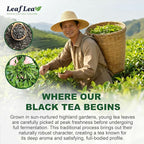 LeafLea 80 Black Tea Bags, Premium Black Tea Leaves, Rich Bright and Firmly Astringent, Promotes Digestive Comfort & Steady Alertness, Caffeinated, Sugar-Free, Vegan, Enjoy Hot or Iced
