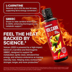 InnoSupps Volcarn 2000 - L-CARNITINE Advanced Energy Liquid | ATP Enhancer with GBEEC | Boosts Energy, Enhances Focus, Caffeine Free, No Artificial Sweeteners | 32 Servings (Lemon Lime)