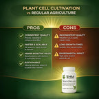NeuroNovum Memory Support Capsules for Focus & Mental Clarity – Herbal Cognitive Supplement with Plant Cell-Cultivated Sage & Lemon Balm – Brain Support Formula – 30 Count