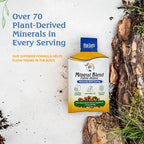 Vital Earth Minerals Detox & Wellness Support – Fulvic Humic Mineral Blend with 70+ Trace Minerals, Electrolytes, 14 Single-Serve Packs/Box