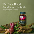 Gaia Herbs Ginger-Beet Postbiotic - Supplement for Gut & Heart Health Support* - Made with Fermented Beets & Ginger - Free from Dairy, Soy & Gluten - 60 Vegan Liquid Phyto-Caps (30 Servings)
