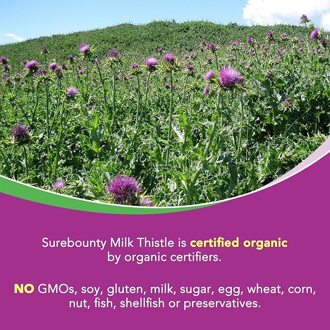 Milk Thistle, Concentrated Seed Extract, 80% Silymarin, Liver Support Cleanse Detox, Fatty Liver Supplements, Non-GMO, No Gluten & Soy, 90 Veggie Caps, 3 Month Supply