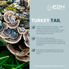 Turkey Tail Mushroom Extract - Faster Absorption Than Turkey Tail Mushroom Capsules or Powder - All-Natural Immune System & Digestive Support- Real Mushrooms Turkey Tail - 2 Fl Oz by E2H
