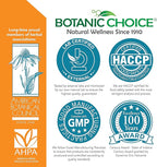 Botanic Choice Premium Turmeric Antioxidant Support - Joint Health Supplement for Adults - 180 Vege Capsules (500 mg each)