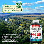 FITO Medic’S Lab Potassium Citrate Supplement, 400 Capsules, Potassium Formula