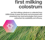 Pure Bovine Colostrum 180 Capsules - Antibiotic and Hormone Free - USA Sourced - All Natural - 100% First Milking