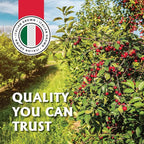 Gourmanity Cocktail Maraschino Cherries, Made from Italian Grown Marasca Cherries. Use in Manhattan, Old Fashioned, and Desserts (14.1oz Jar)