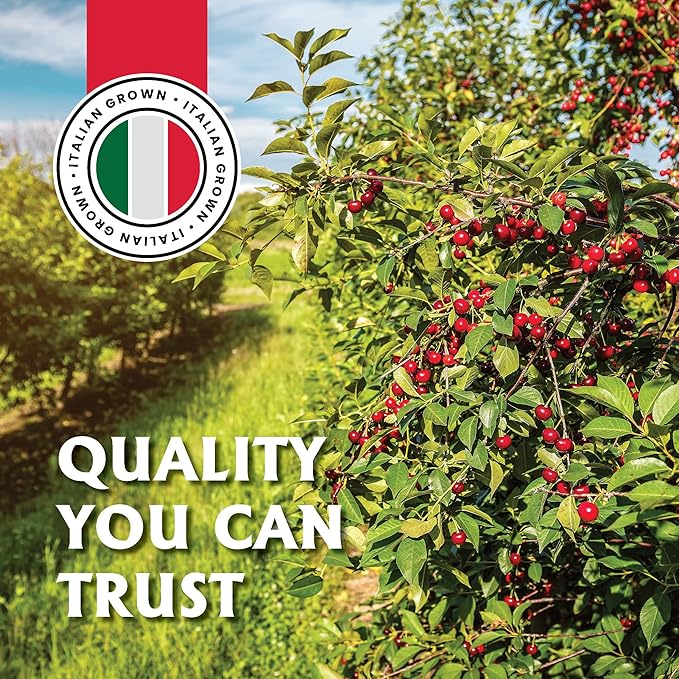 Gourmanity Cocktail Maraschino Cherries, Made from Italian Grown Marasca Cherries. Use in Manhattan, Old Fashioned, and Desserts (14.1oz Jar)