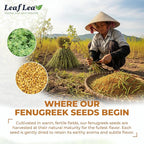 LeafLea 80 Premium Fenugreek Tea Bags, Natural Fenugreek Seed for Toasty Flavor & Sweet Aroma, Fenogreco Tea with Gentle Warmth, Caffeine-Free, Sugar-Free, Vegan, Individually Wrapped for Freshness