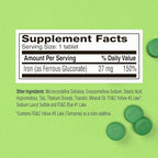 Fergon High Potency Iron Supplement Tablets, 100 Count, Pack of 2