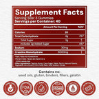 Creatine Monohydrate Gummies 5g - Watermelon Flavored Creatine for Women and Men - Supplement Supports Muscle Gain, Energy, Pre and Post Workout, Focus & Cognition, Recovery (120 count, 40 servings)