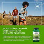 Swanson Turmeric Phytosome with Meriva 500 Milligrams 60 Capsules